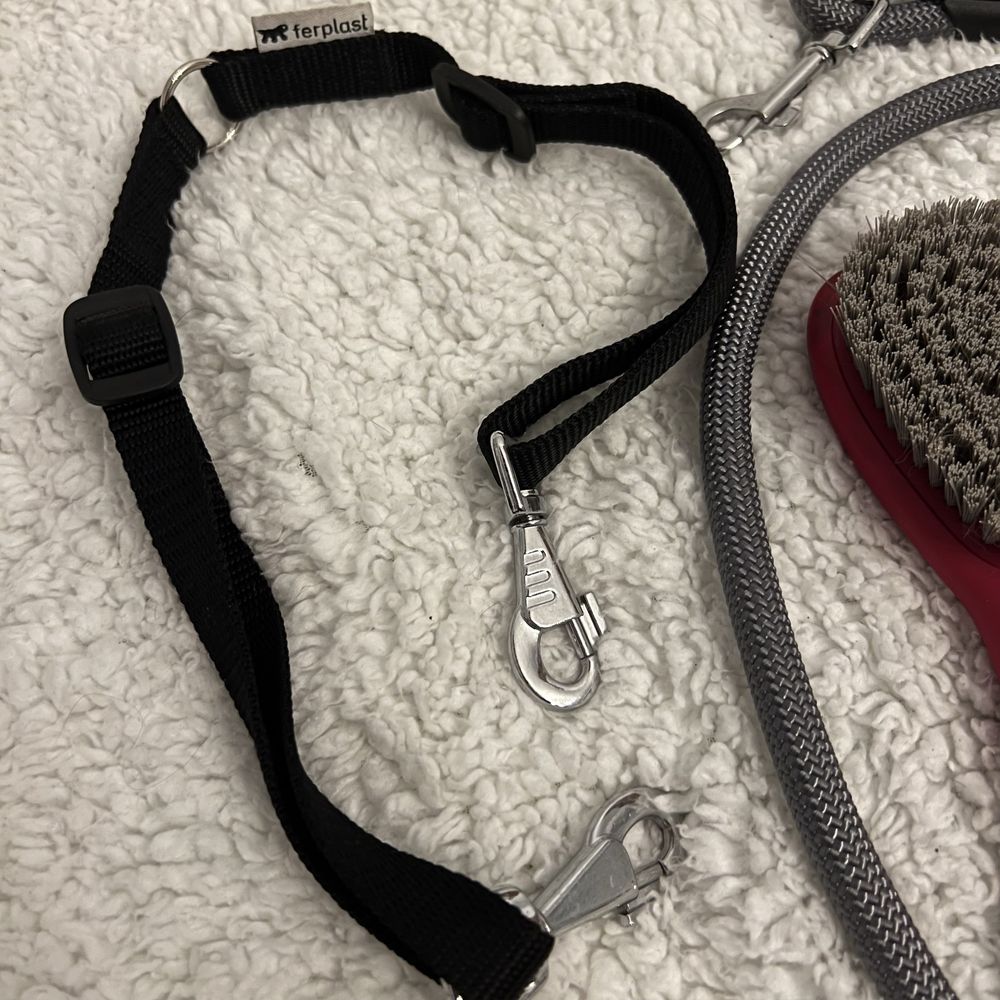 Acessórios para cães