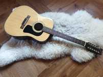 Washburn D-12-12N akustyczna gitara 12-strunowa