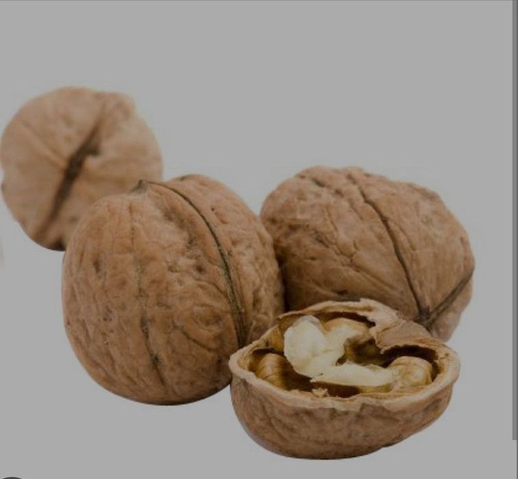 Продам грецкий орех