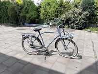 Rower męski Gazelle heavy duty