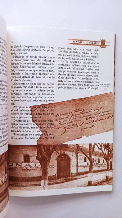 O Vinho de Colares - 1938