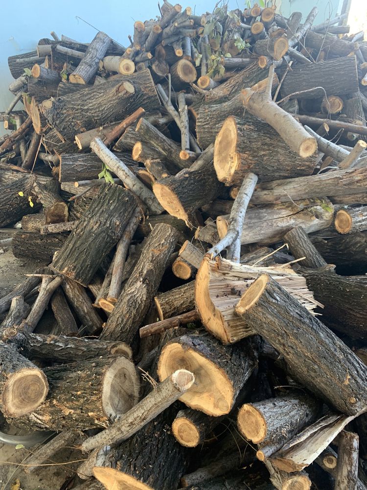 Продам дрова твердых пород 1000грн куб