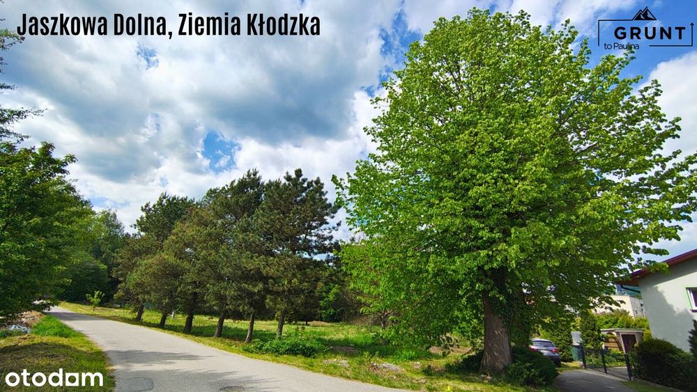 Zamieszkaj blisko gór, pełna infrastruktura miejska raj dla aktywnych