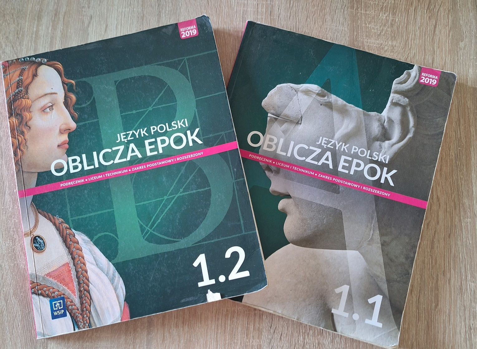 Jezyk polski 1.1 i 1.2 technikum i liceum