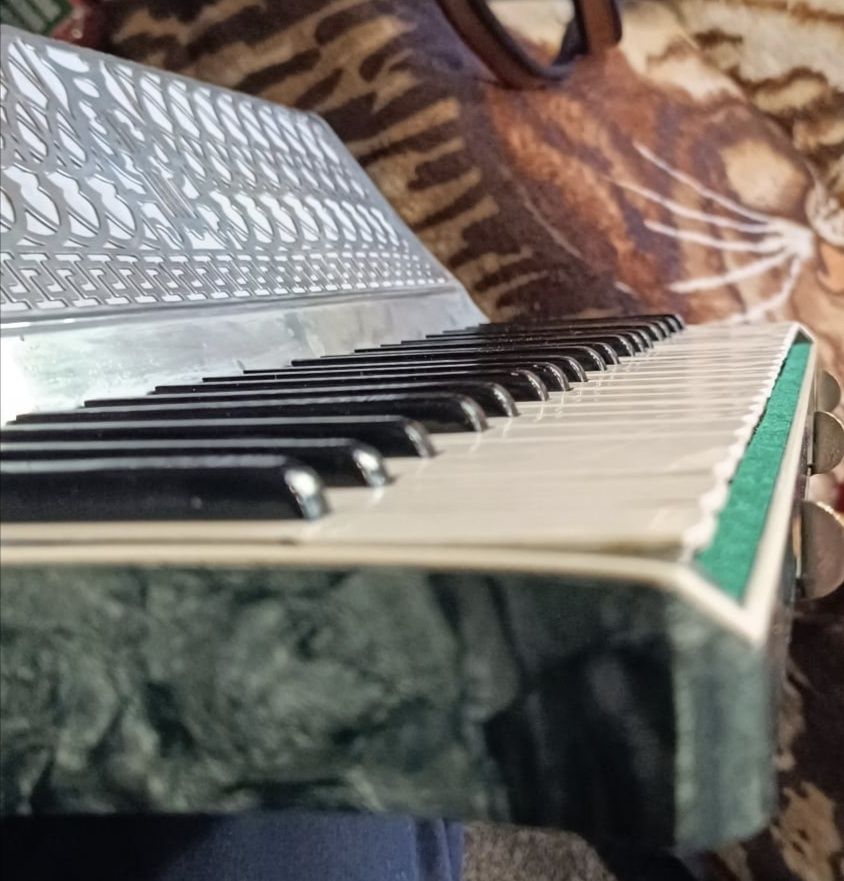 Akordeon Włoski Casali Verona 120 basów musette kolekcjonerski