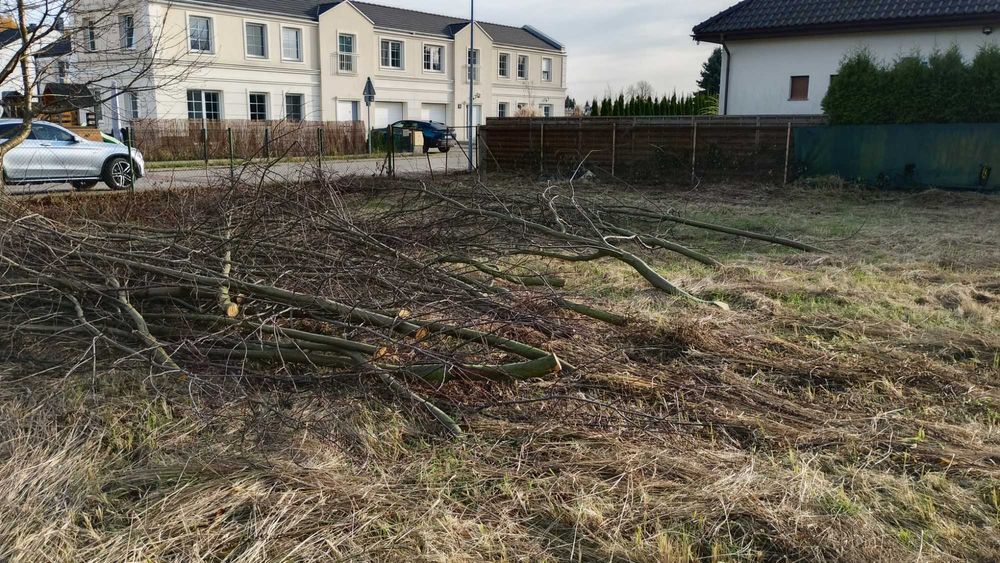 Drewno do oddania (na opal)