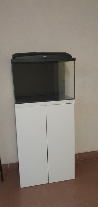 Zbiornik akwarystyczny z wyposażeniem+szafka.