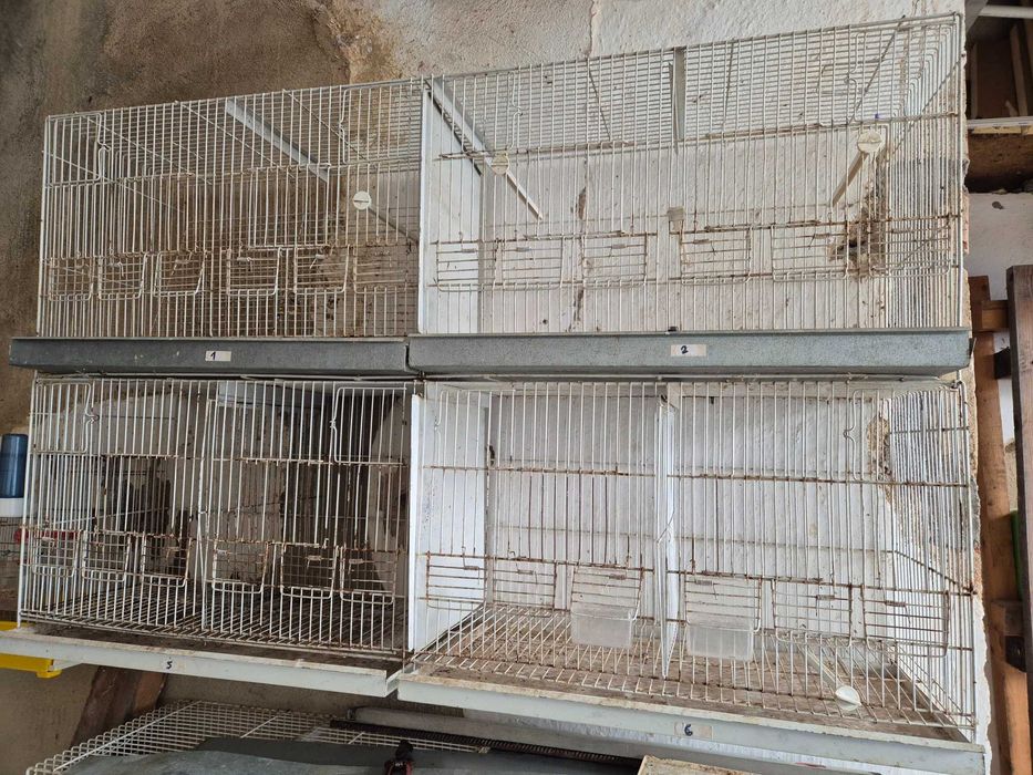 Gaiolas de criação