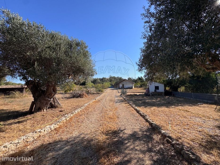 Terreno  para venda