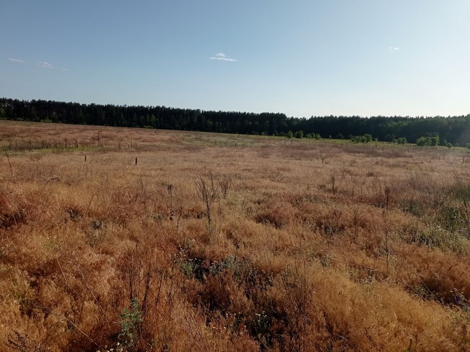 Земельна ділянка під будівництво