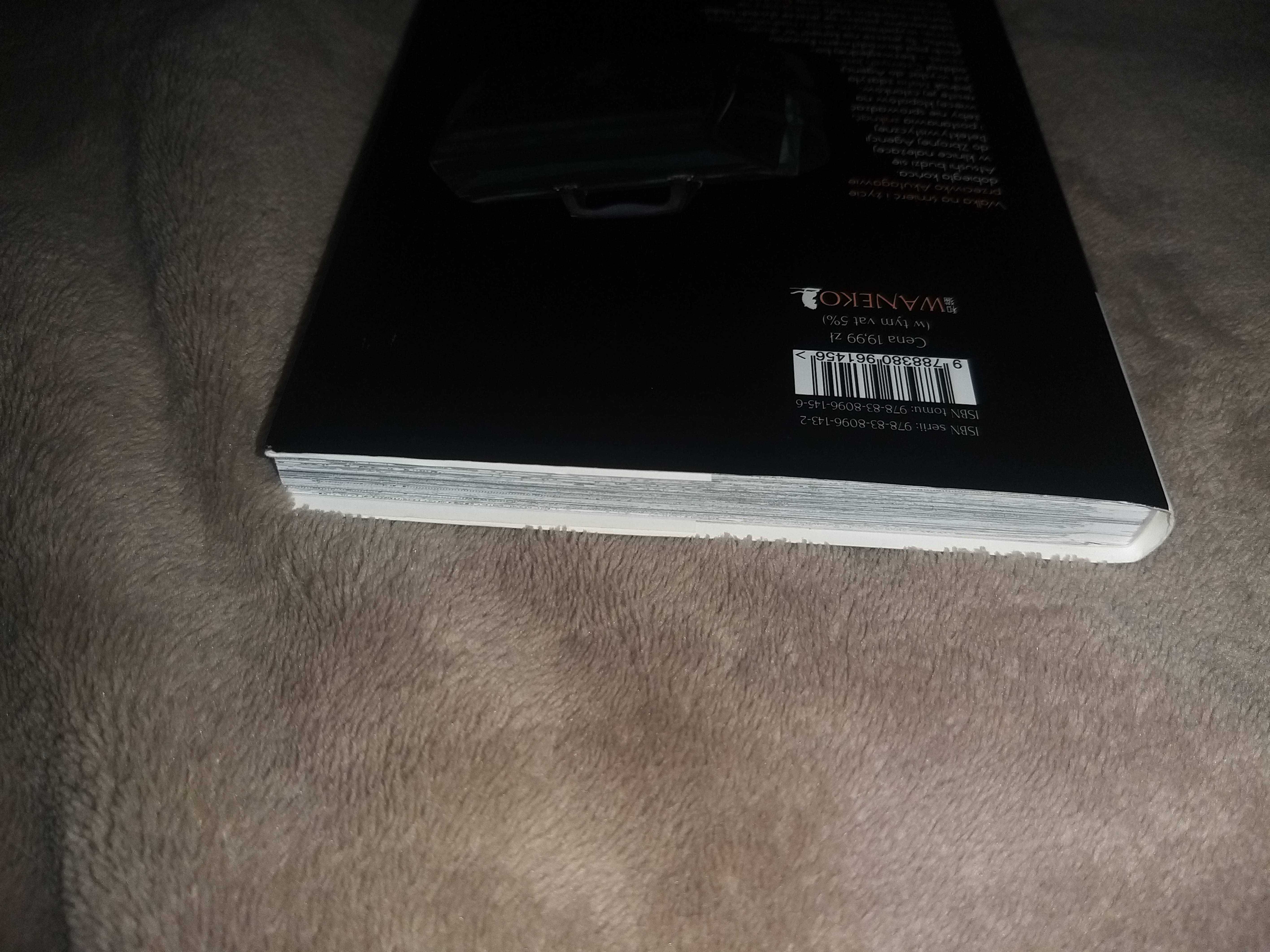 Manga Bungou stray dogs Tom 2