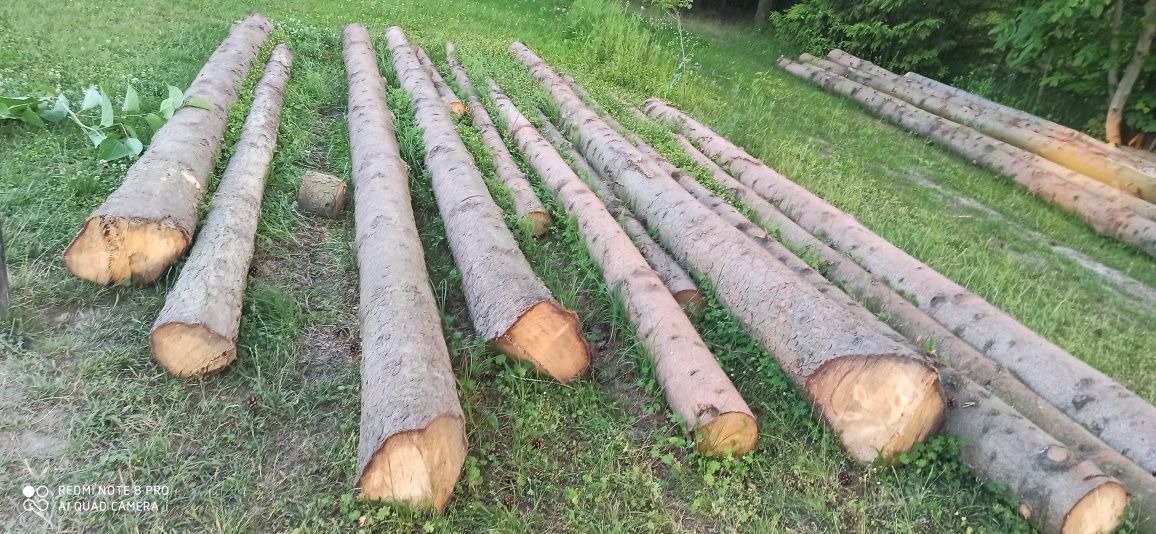 Świerk drzewo materiał