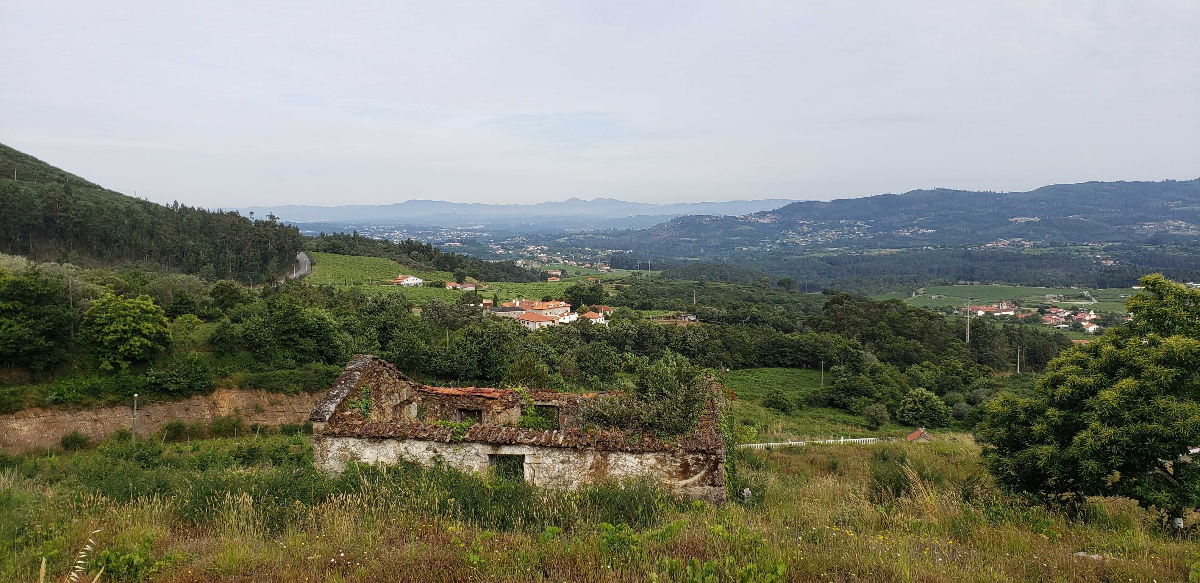 Magnifica Quinta!