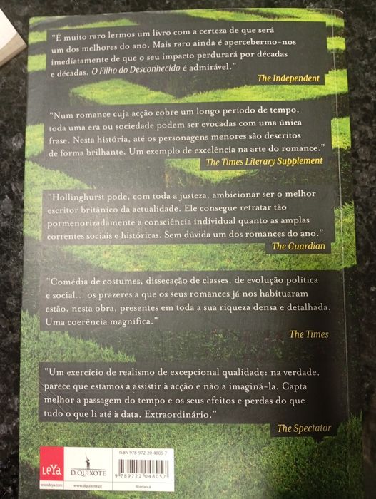 Vendo o livro "O Filho do Desconhecido", de Alan Hollinghurst