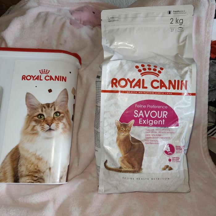 karma dla kota Royal canin 2 kg+ puszka