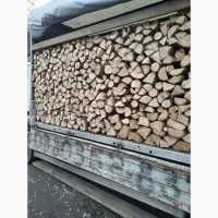 пРОДАМ Дрова Дуб Береза Вільха Сосна по Фастову і області 5/13