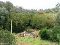Terreno de dois hectares próximo ao Santuário de Fátima em Ourém para
