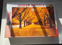 Puzzle 1 000 peças