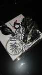 Desviador 12 V Sram X0 + shifter