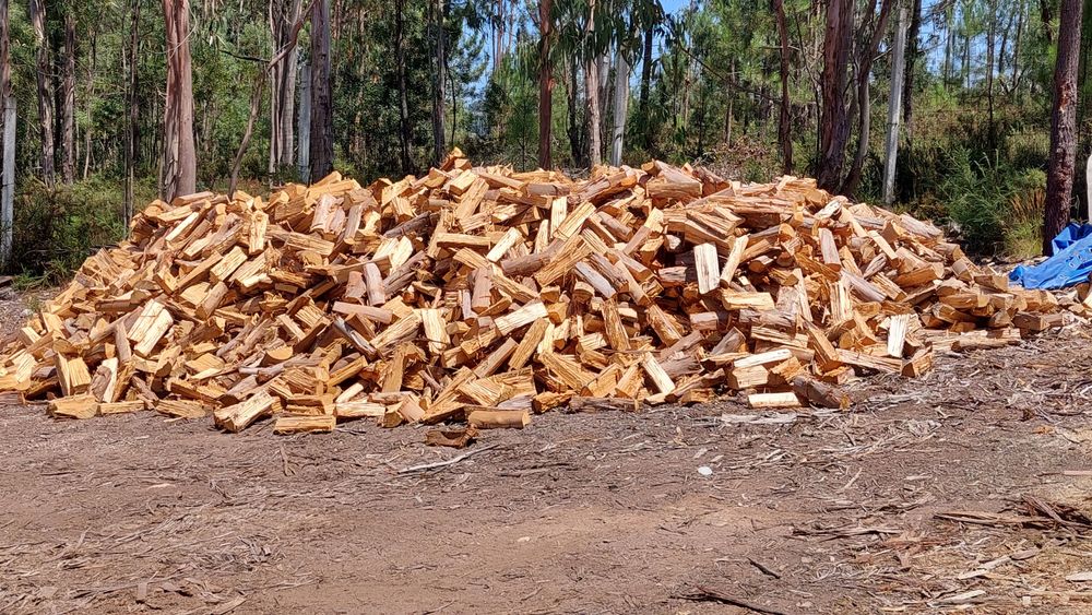 Lenha para aquecimento