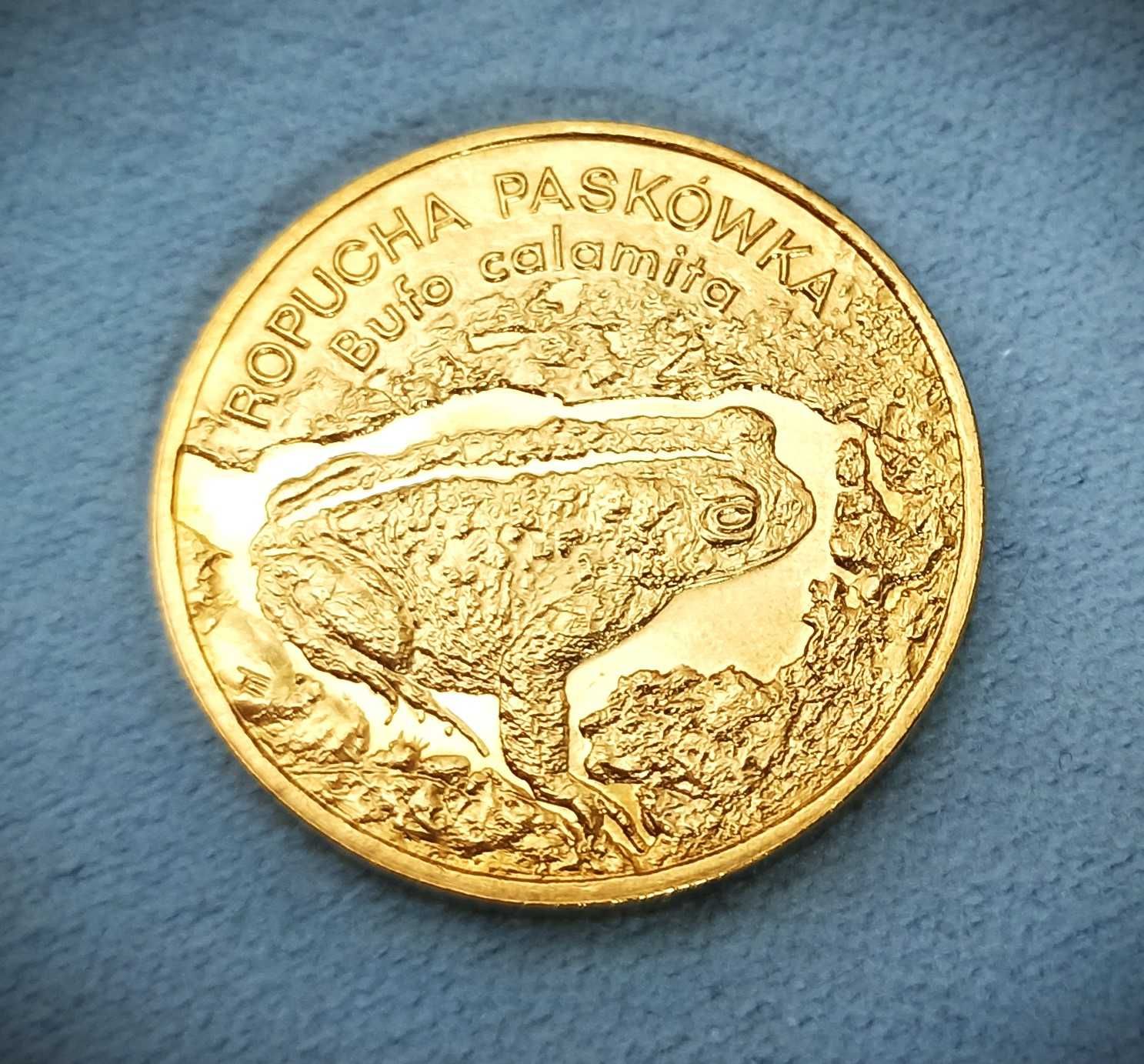 2 zł 1998 r. Ropucha Paskówka