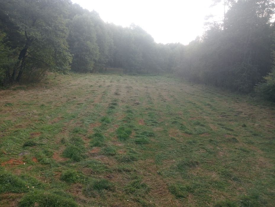 Działka 0,56 ha rolno leśna