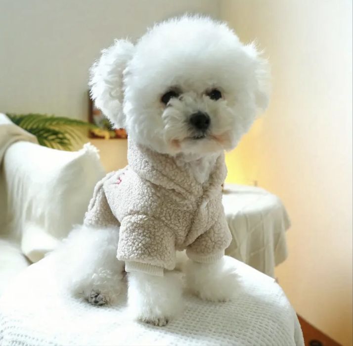 Худі для йорка