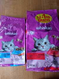 Sucha karma whiskas Kota 3,8kg + 1,9kg