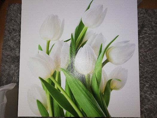 Obraz na płótnie Białe Tulipany