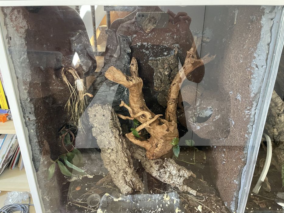Podwojne terarium + pelne wyposazenie pod jaszczurki  !