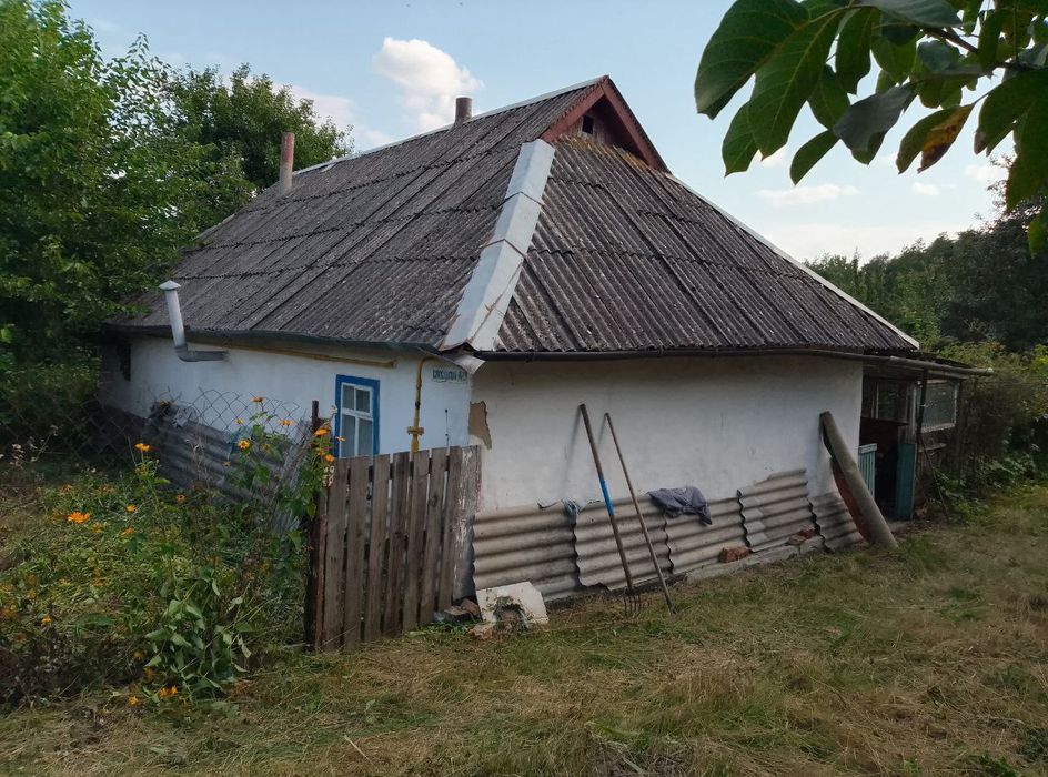 Будинок 40 м2  с. Антонов