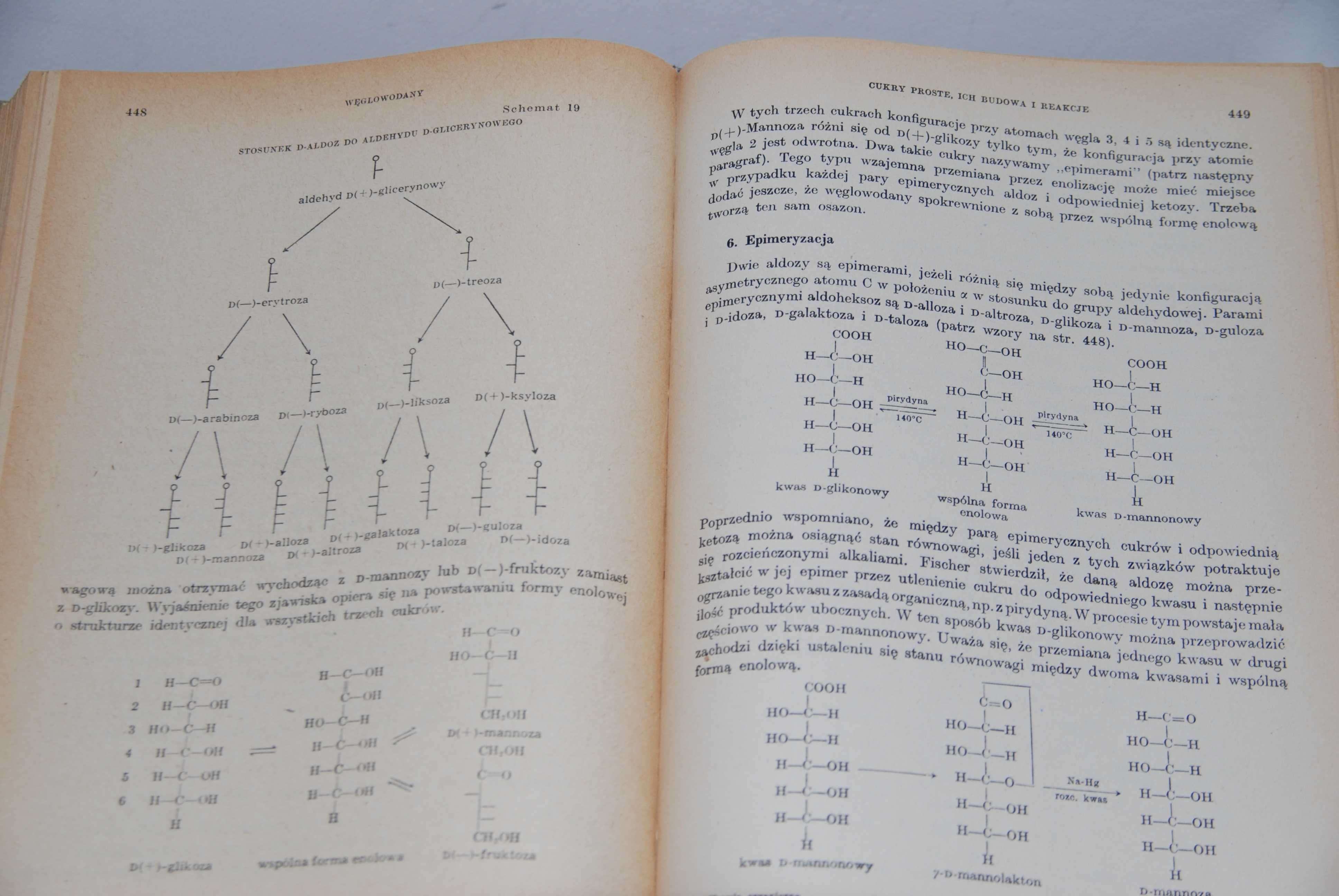 Ray Brewster, William McEwen	Podstawy chemii organicznej