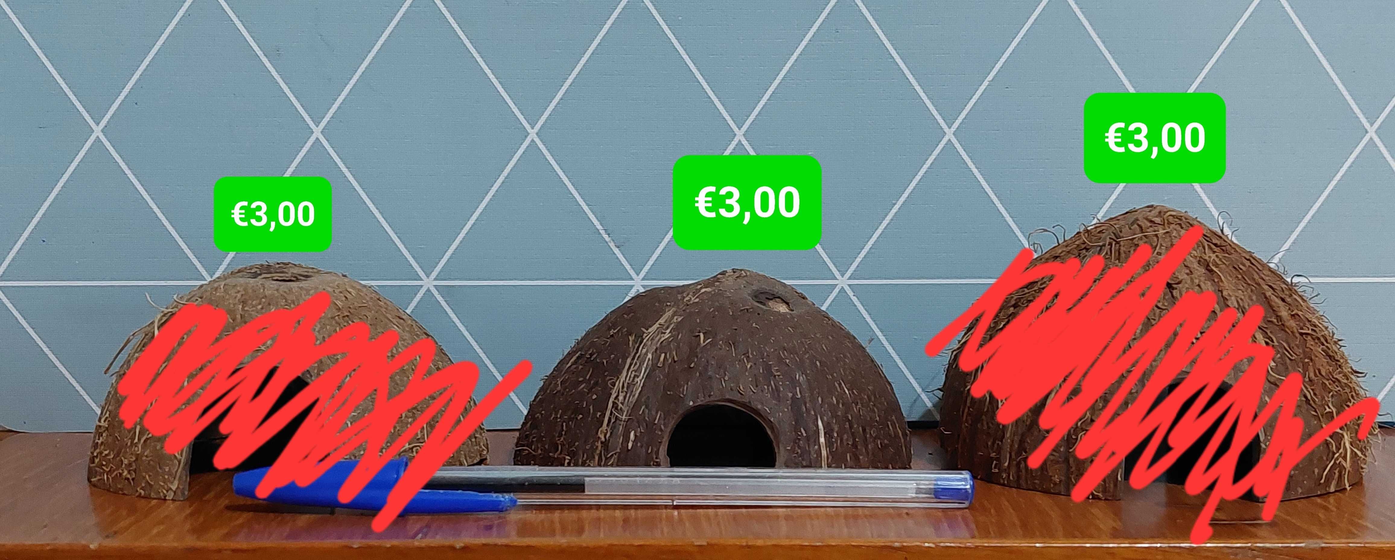 Casca de coco tratada é só meter no aquário. Toca, esconderijo Camarão