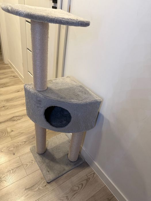 Stylowy drapak dla kota – zabawa, relaks i drapanie w jednym!