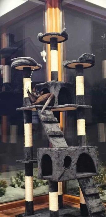 drapak dla kota wysoki 170 cm domek zabawki legowisko czarny - Nowy