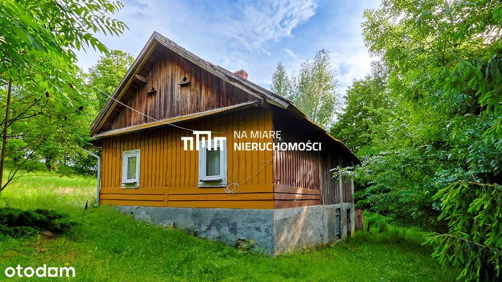 Dom w malowniczej okolicy | 1 ha działki