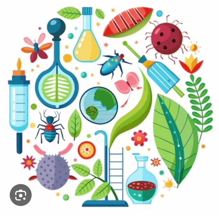 Korepetycje Biologia, Przyroda