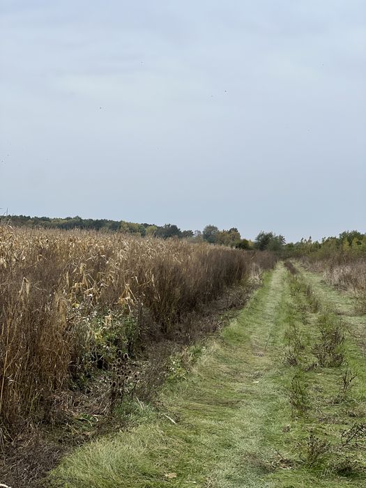 Продаються земельні ділянки