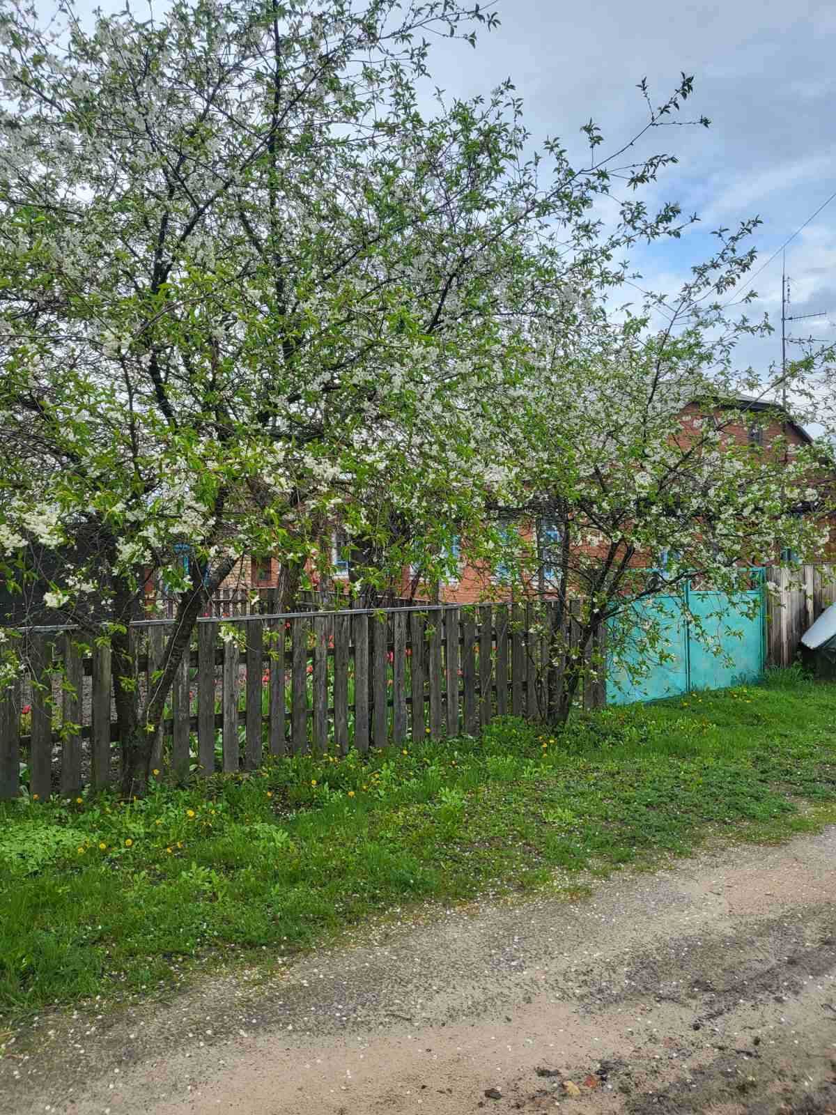 Продається цегляний будинок. Київська область, Іванківська ОТГ.
