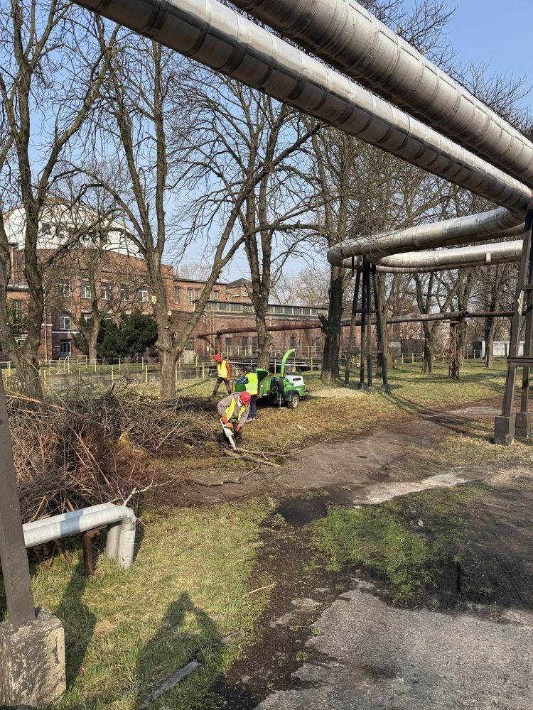 Rębak, Rozdrabniacz do Gałęzi, Wertykulatory i aeratory do trawy