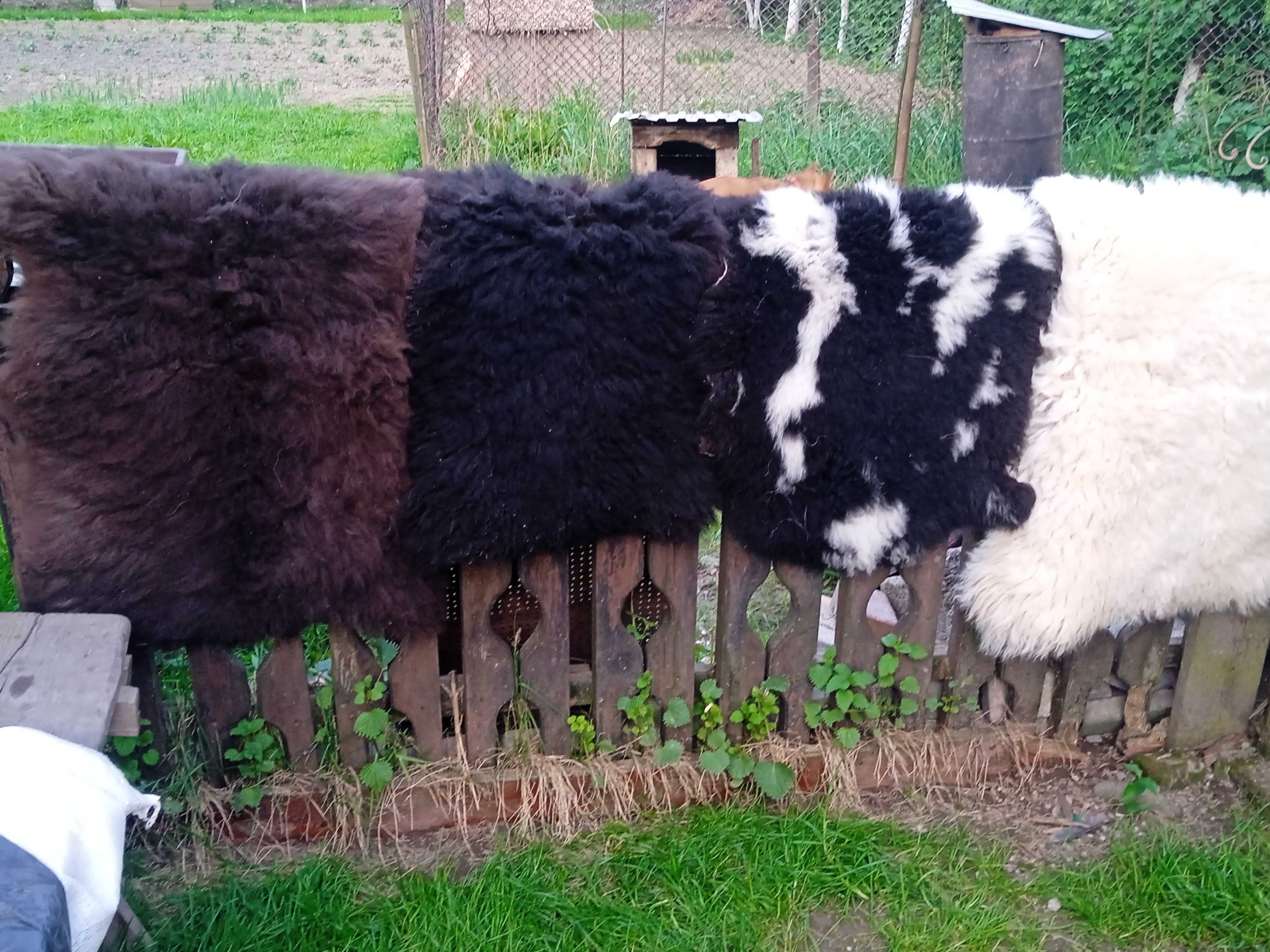 Накидки шкурки різні овечі