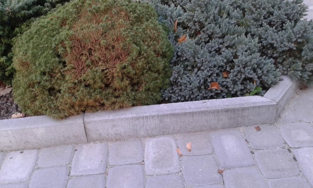 Obrzeże betonowe trawnikowe, chodnikowe, krawężnik kostka brukowa