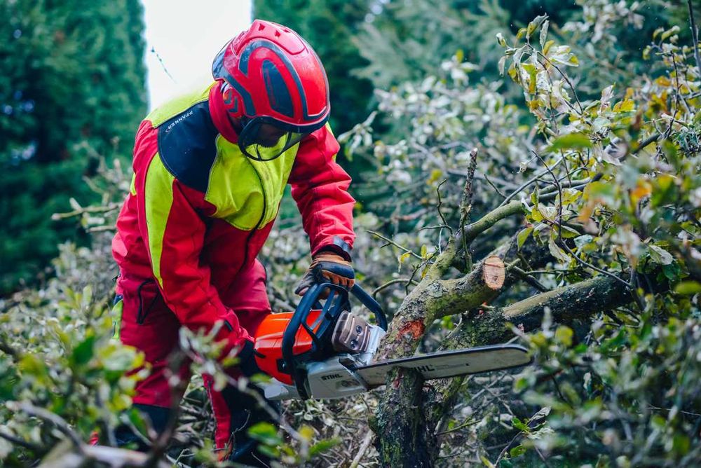 Wycinka drzew ,alpinistyczna  koszenie trawy  nieużytkoŵ glebogryzałka