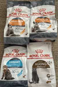 Karma dla kota Royal canin