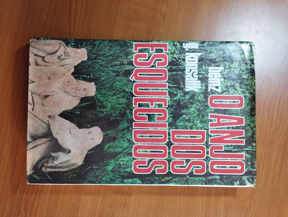 O anjo dos esquecidos