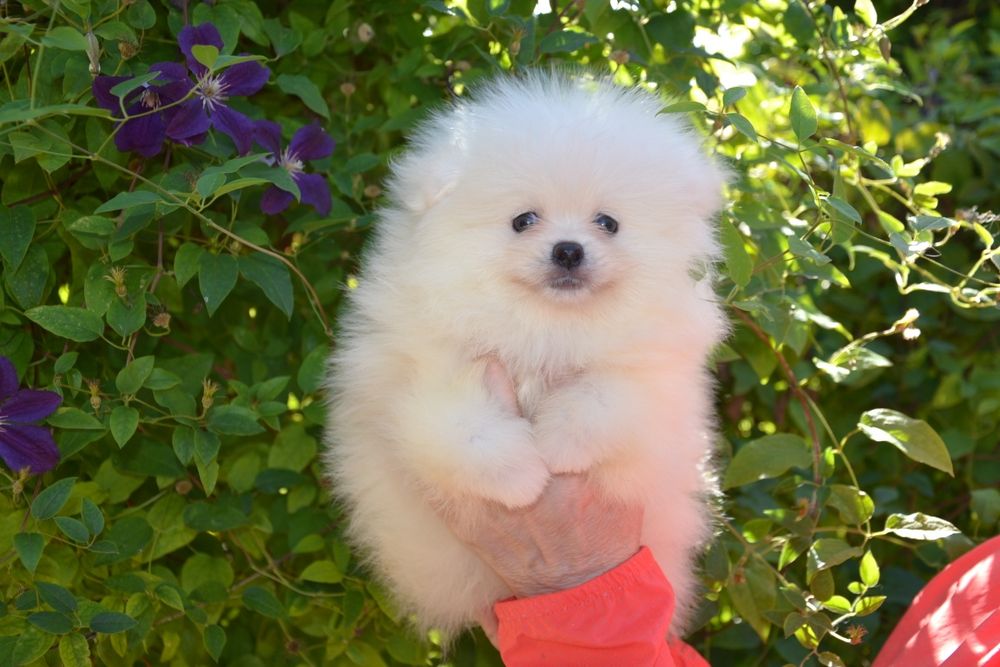 Мальчик красавчик.Доставка