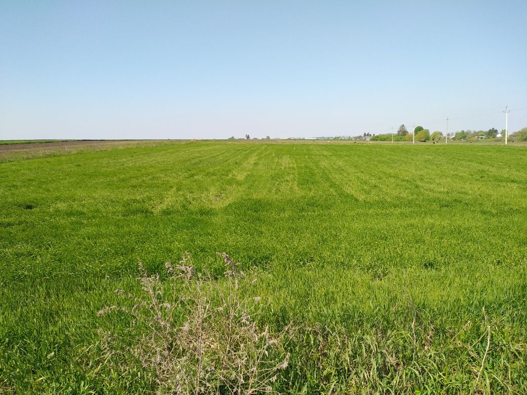 План під забудову