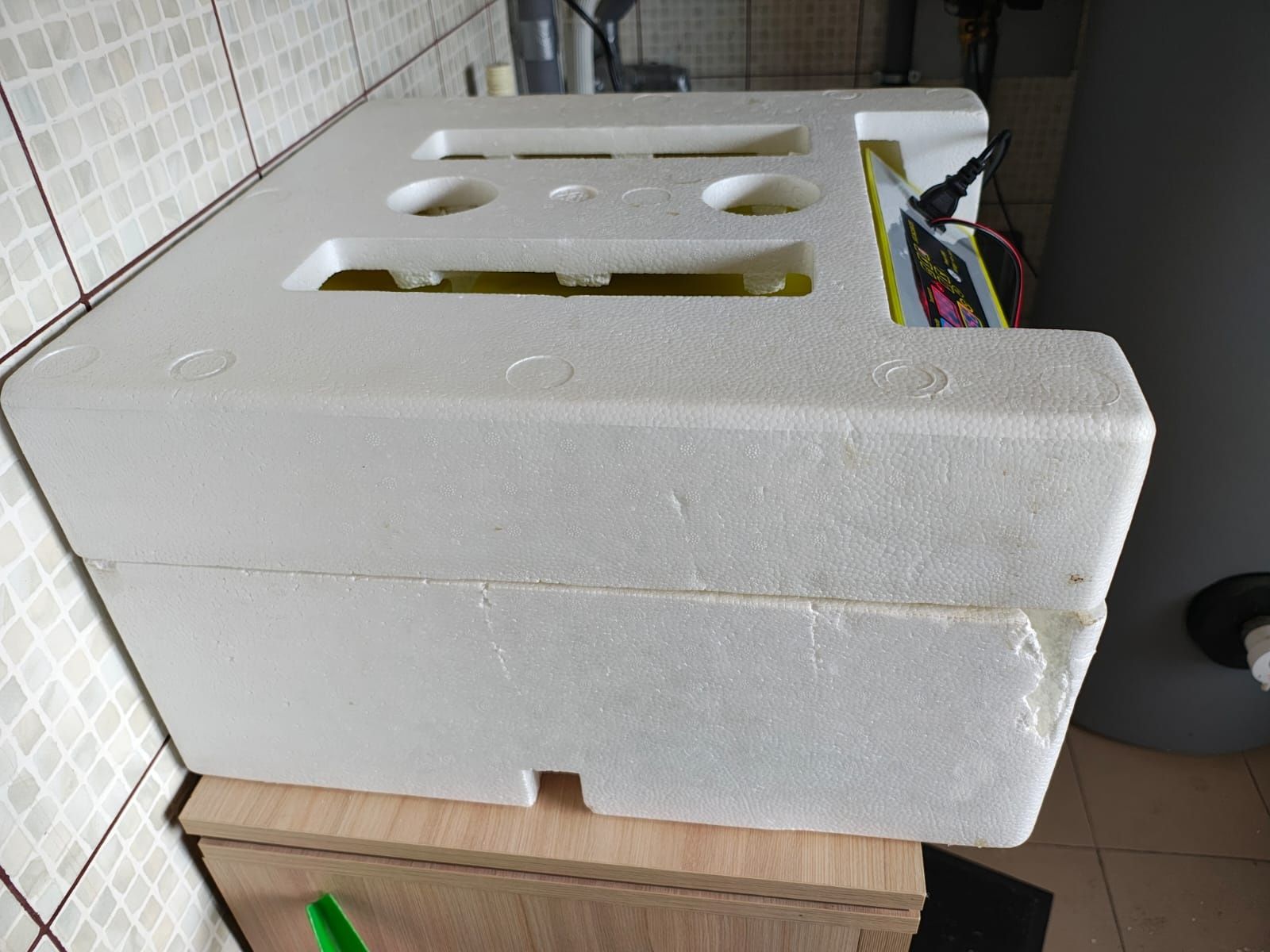 Inkubator obrotowy 56 jajek