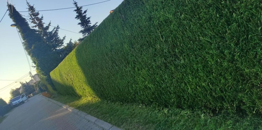 Kompleksowe usługi ogrodnicze