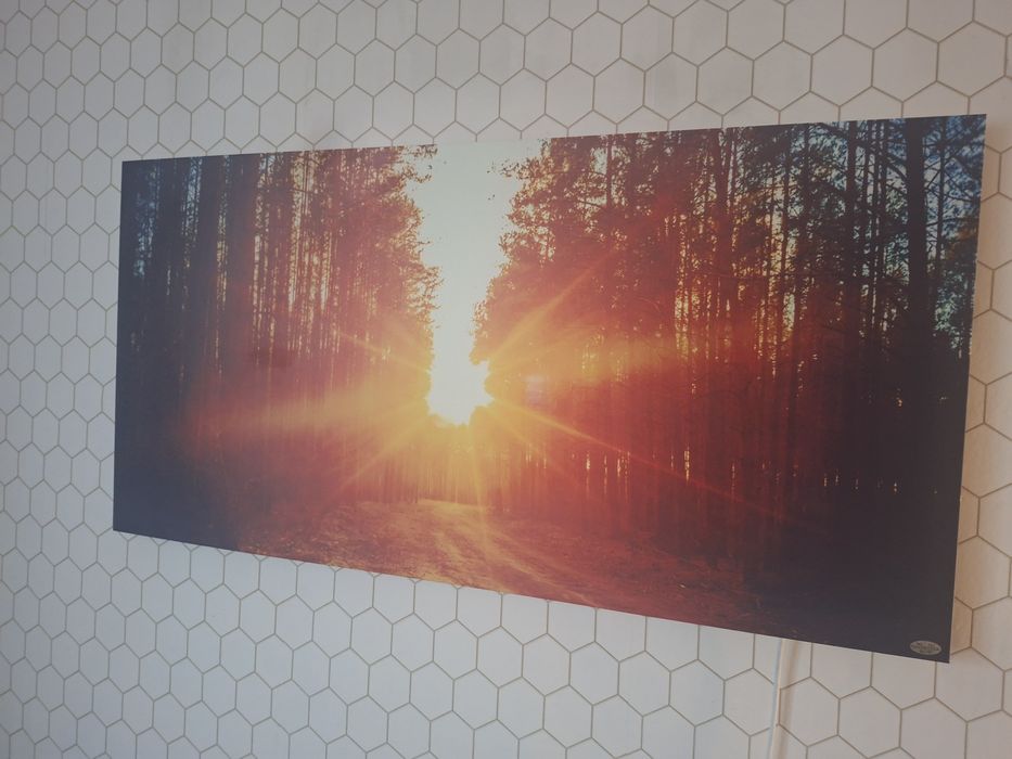 promiennik podczerwieni klarstein Wonderwall  720W Las 60x120